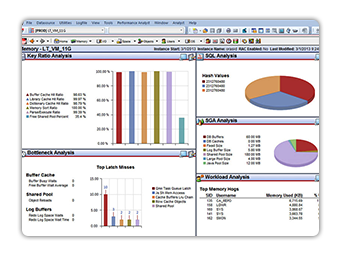 Performance Analyst